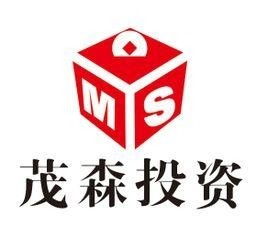 南昌茂森投資管理 專業投資管理服務的優勢與前景